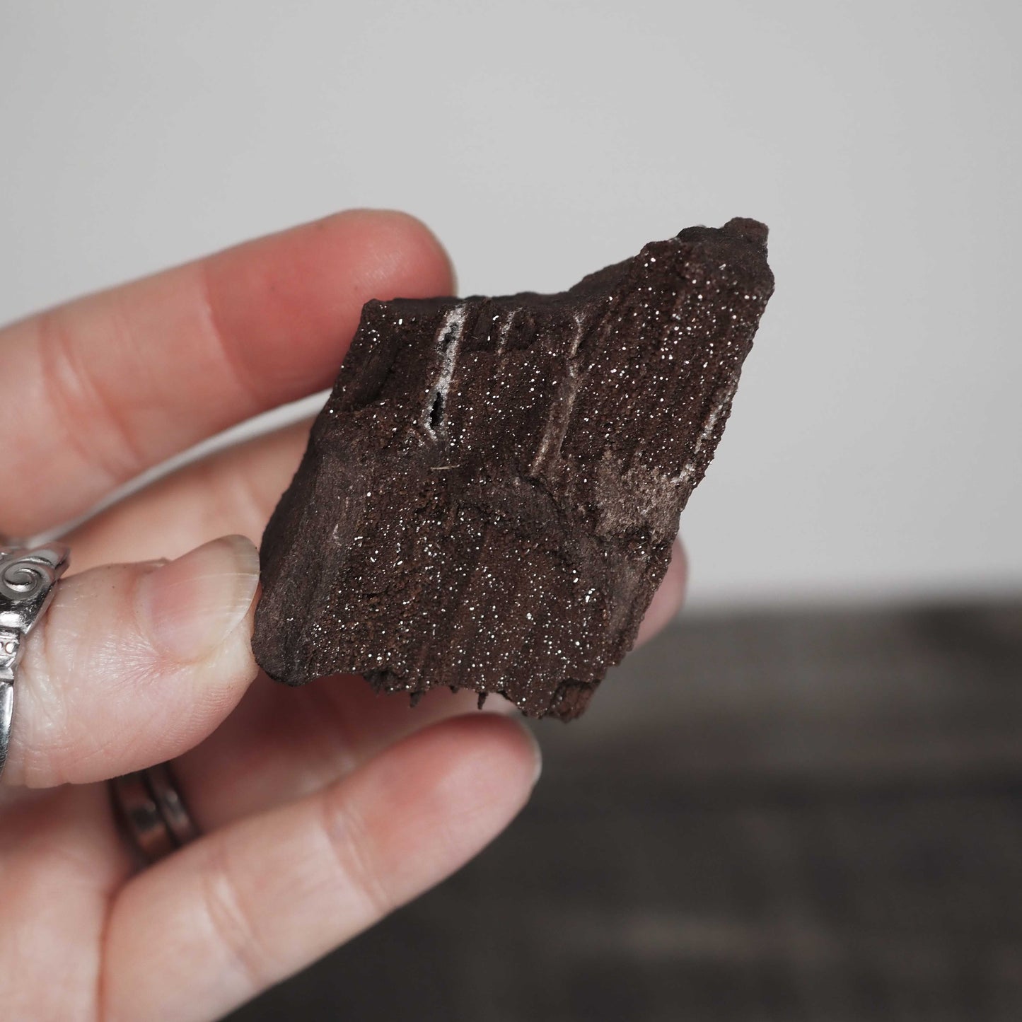 Permineralized Sparkling Fossil Wood from Germany (22)