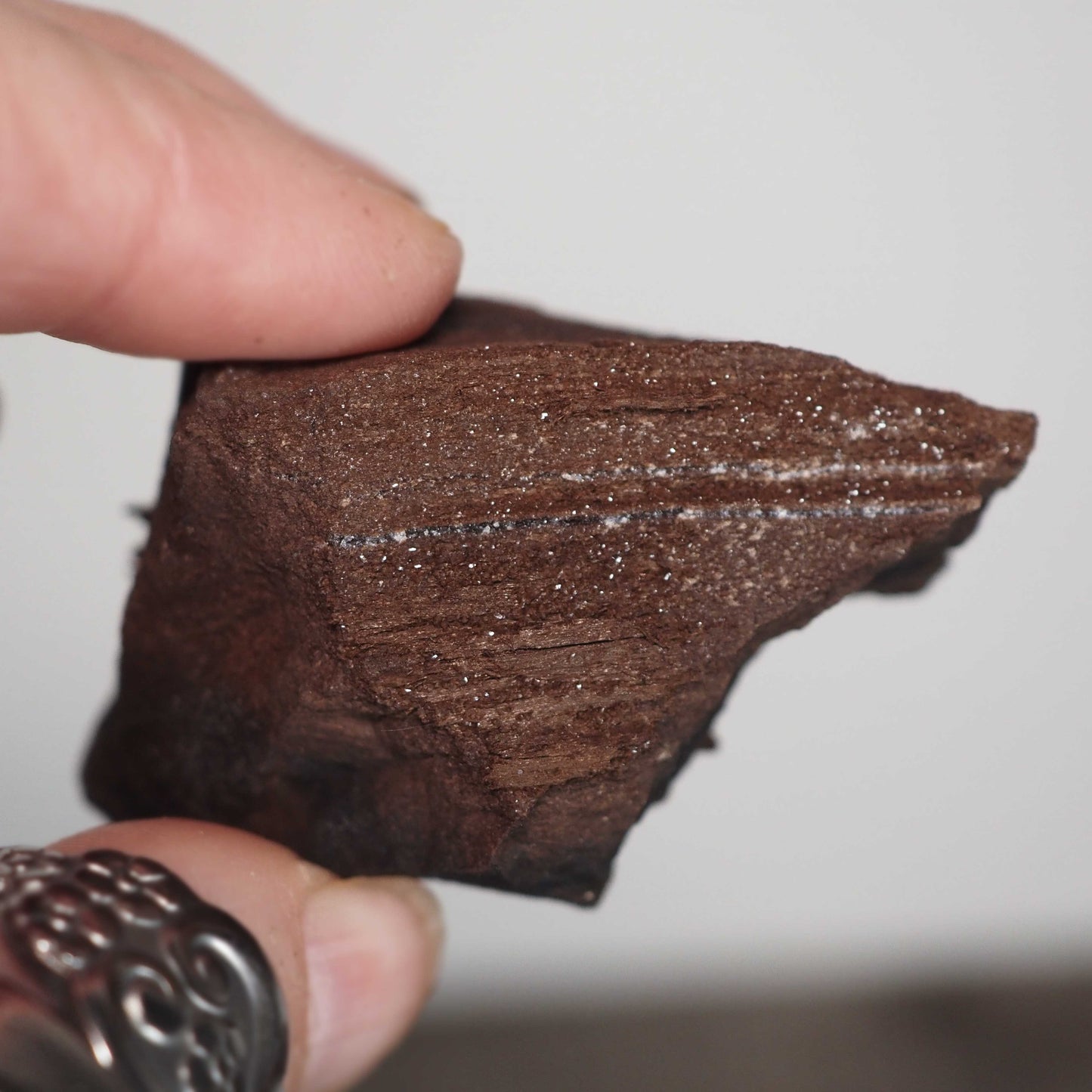 Permineralized Sparkling Fossil Wood from Germany (22)