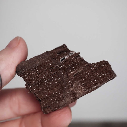 Permineralized Sparkling Fossil Wood from Germany (22)