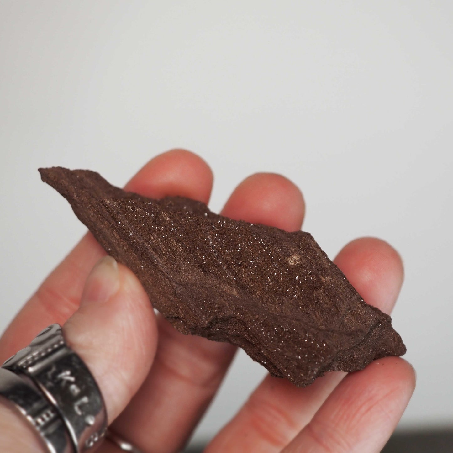 Permineralized Sparkling Fossil Wood from Germany (23)