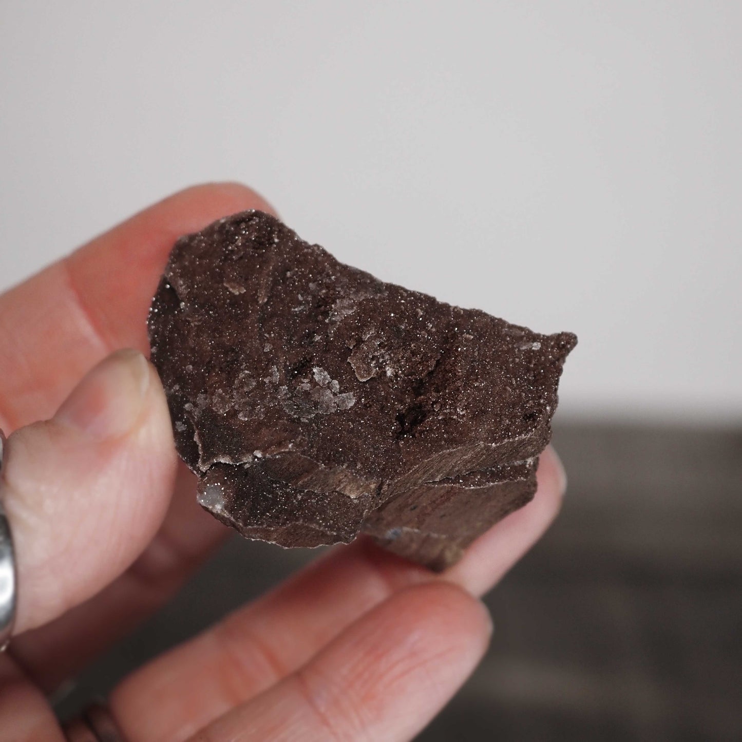 Permineralized Sparkling Fossil Wood from Germany (26)