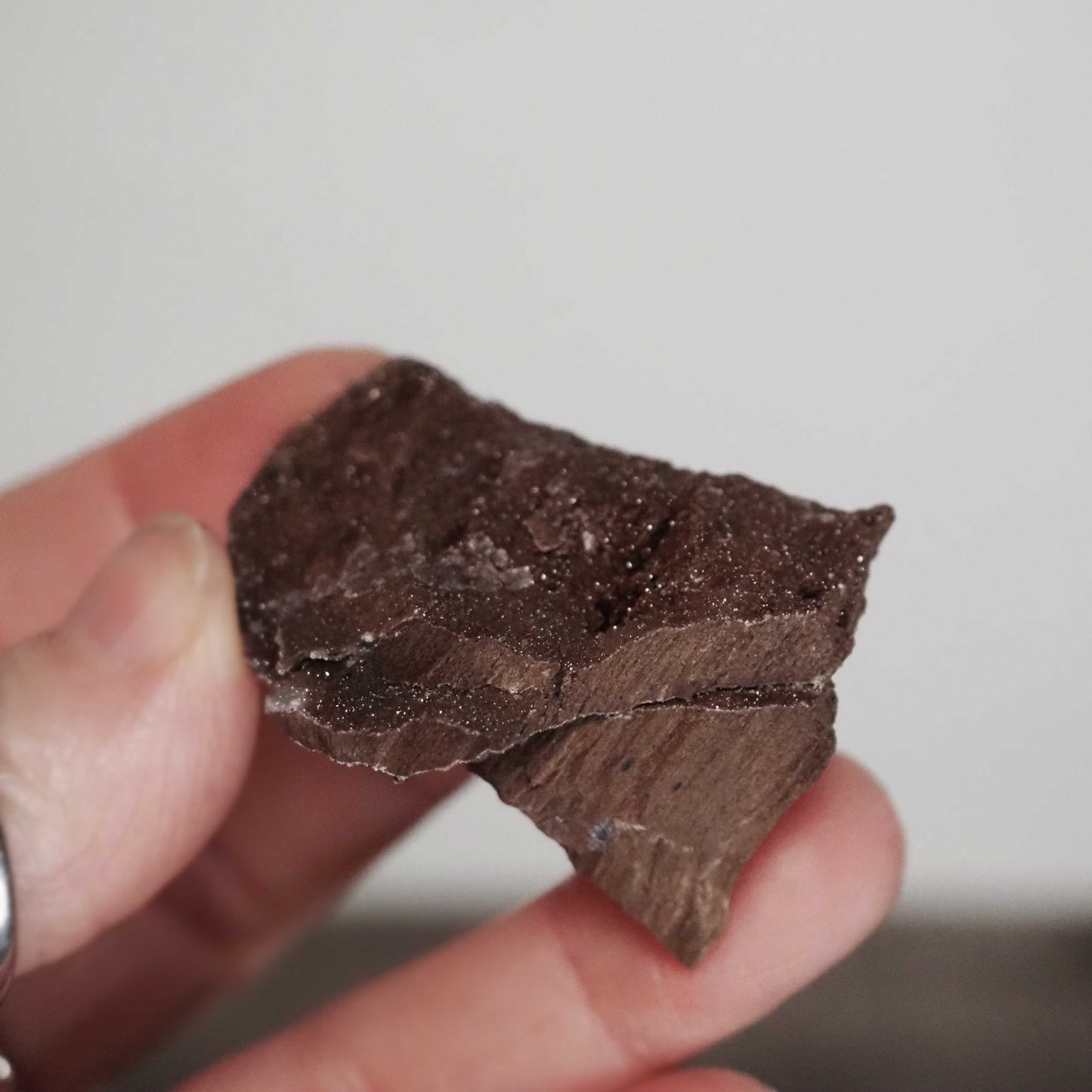 Permineralized Sparkling Fossil Wood from Germany (26)