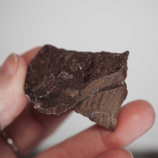 Permineralized Sparkling Fossil Wood from Germany (26)