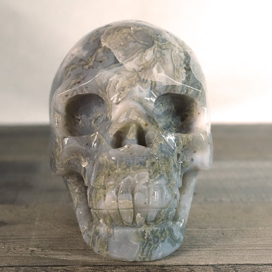 Extra-Detailed Moss Agate Druzy Skull