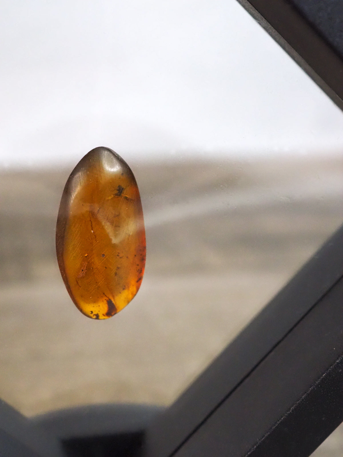 Myanmar Amber B with Insect Inclusion