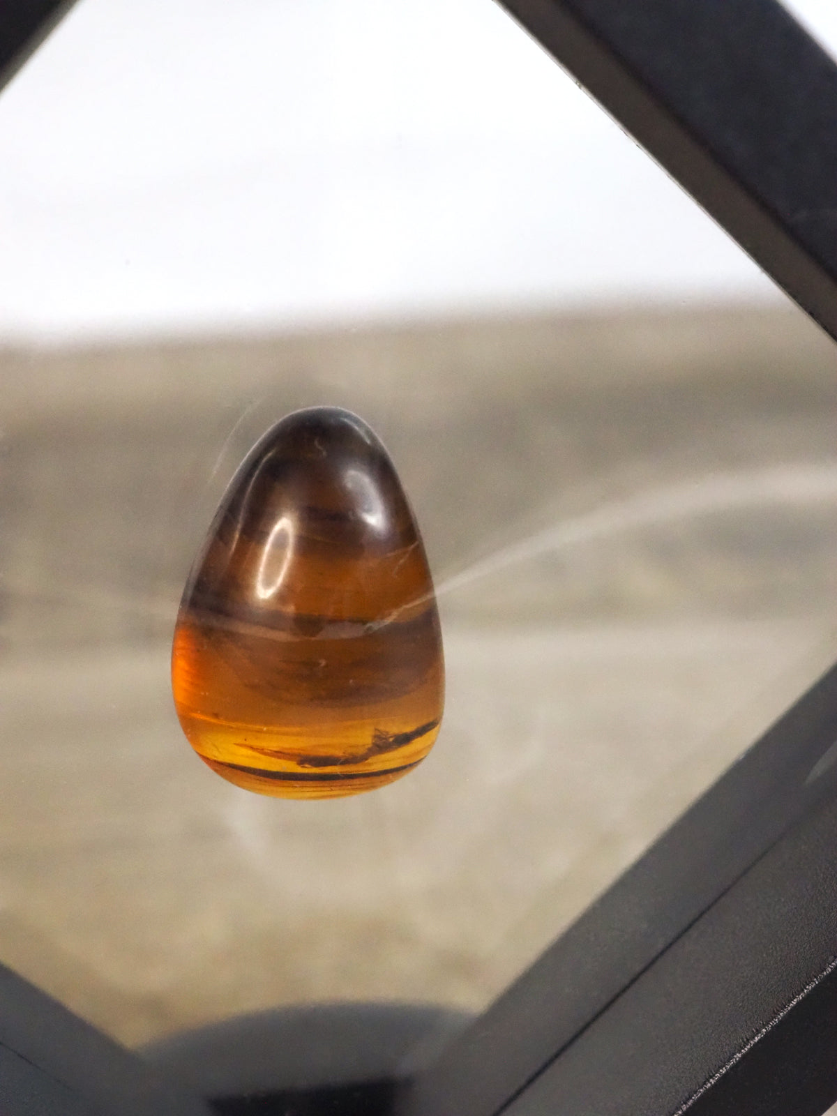 Myanmar Amber C with Insect Inclusion