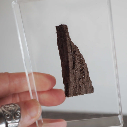 Permineralized Sparkling Fossil Wood from Germany in Acrylic Display Boxes - You choose!
