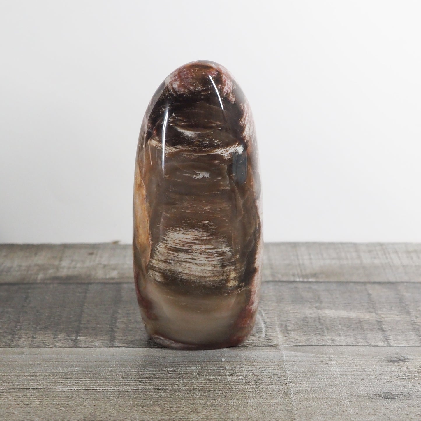 Petrified Wood Freeform from Madagascar A01