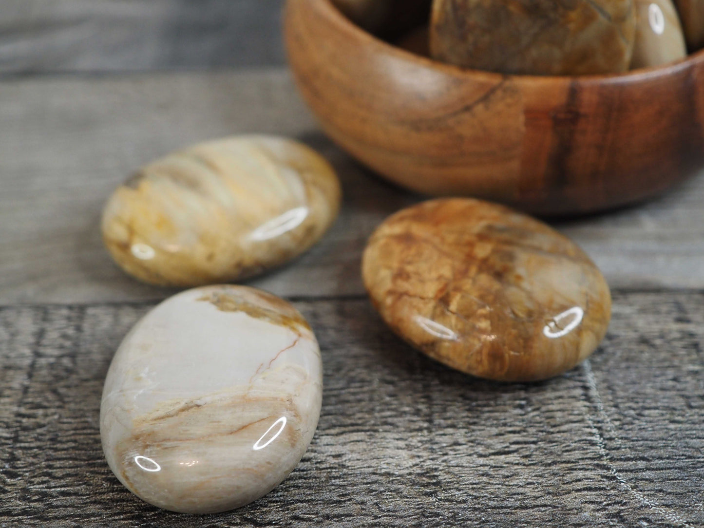 Petrified Wood Palmstones