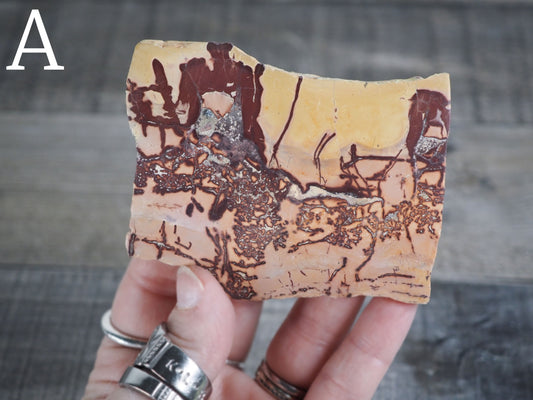 Sahara Desert Picture Jasper Slabs