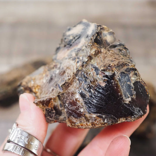 Unpolished Rough Indonesian Golden Amber Specimen