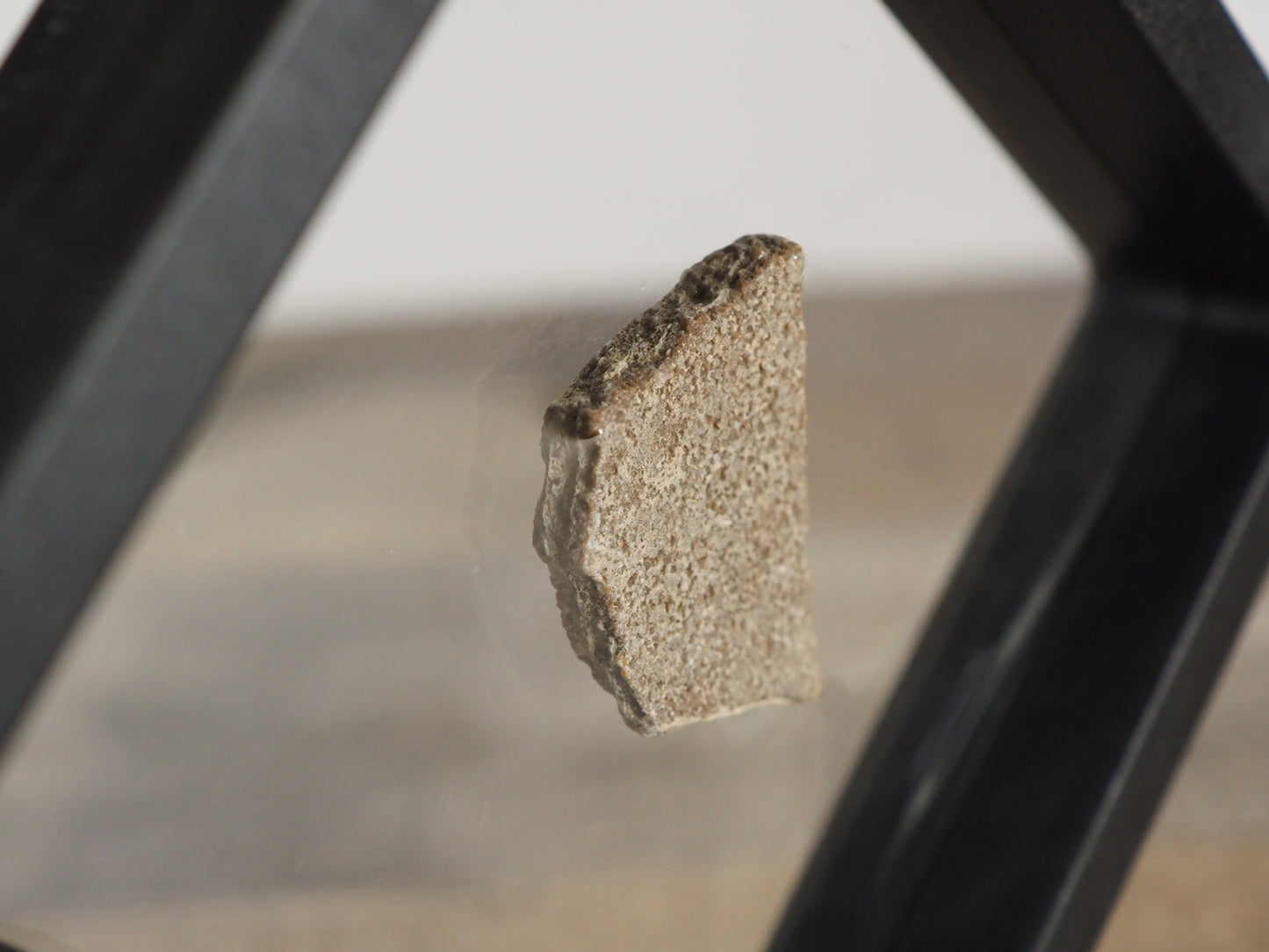 Saltasaurus Dinosaur Egg Shell Fossil in Floating Frames