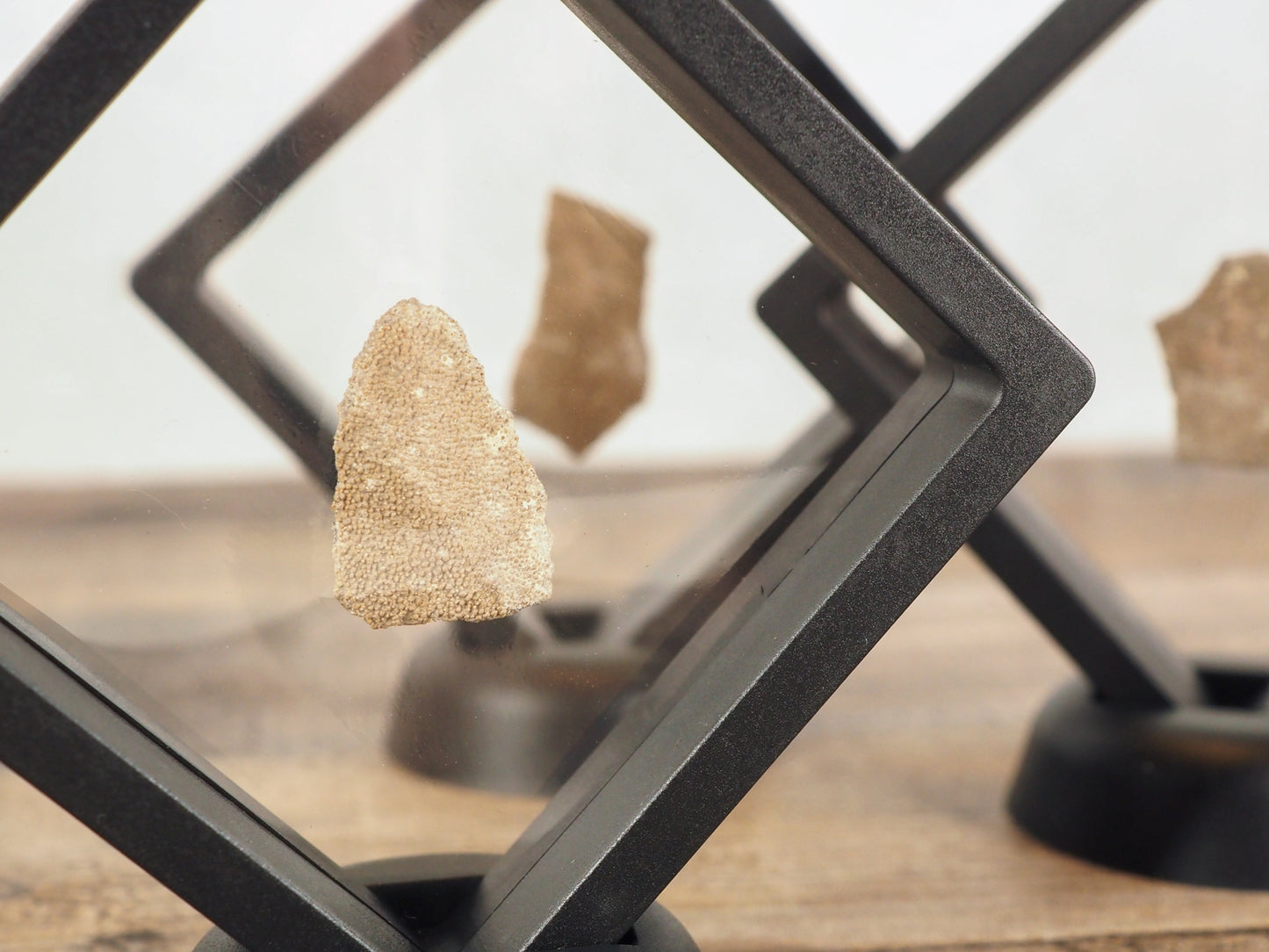 Saltasaurus Dinosaur Egg Shell Fossil in Floating Frames