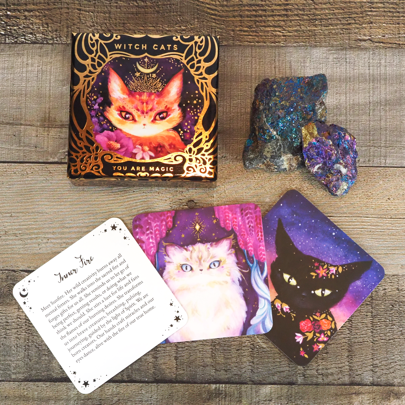 Witch Cats Oracle Deck by Nicole Piar