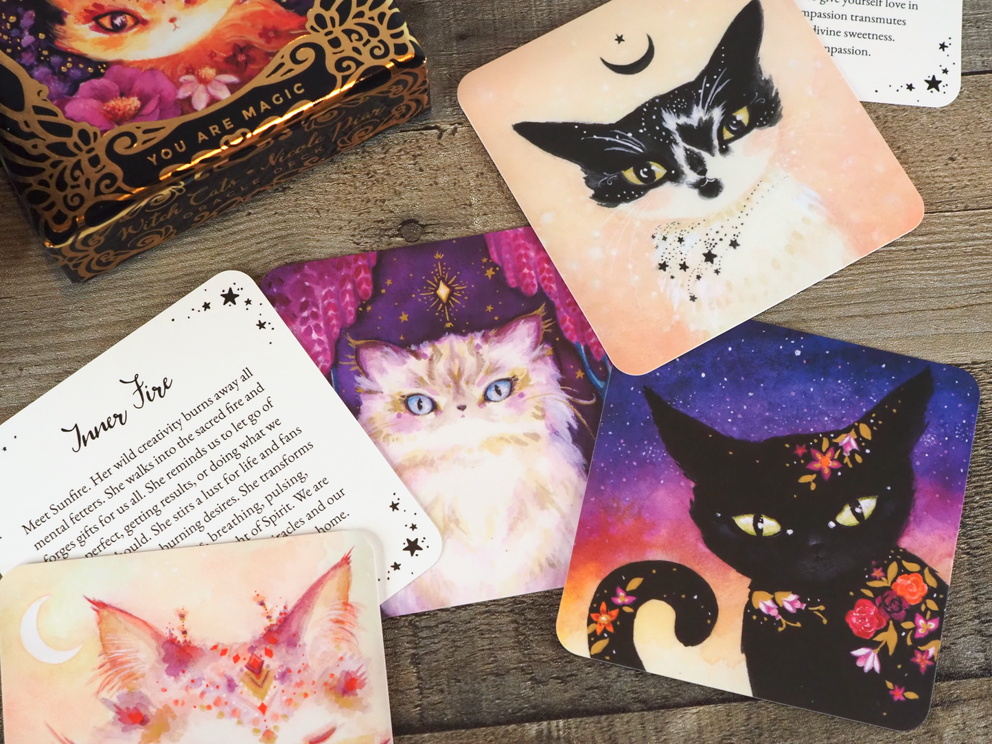 Witch Cats Oracle Deck by Nicole Piar