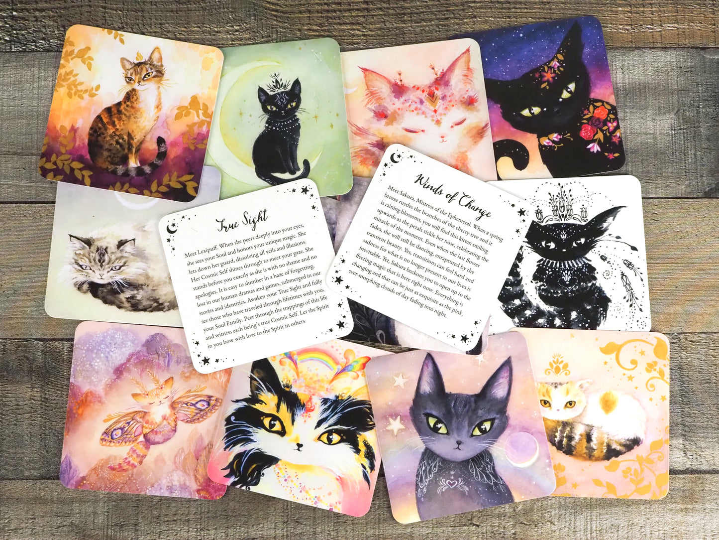 Witch Cats Oracle Deck by Nicole Piar