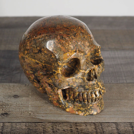5" Extra-Detailed Leopard Skin Jasper Skull