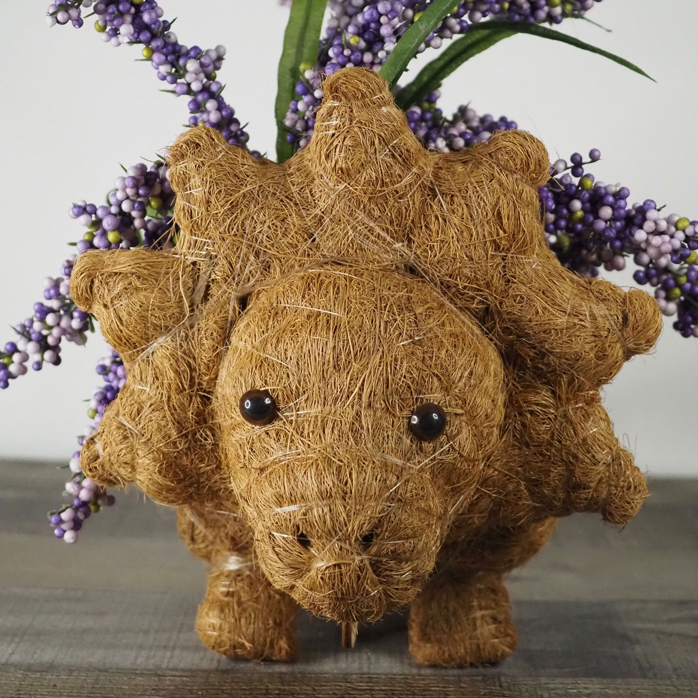 Triceratops Dinosaur Animal Planter hand-made of Coco Coir