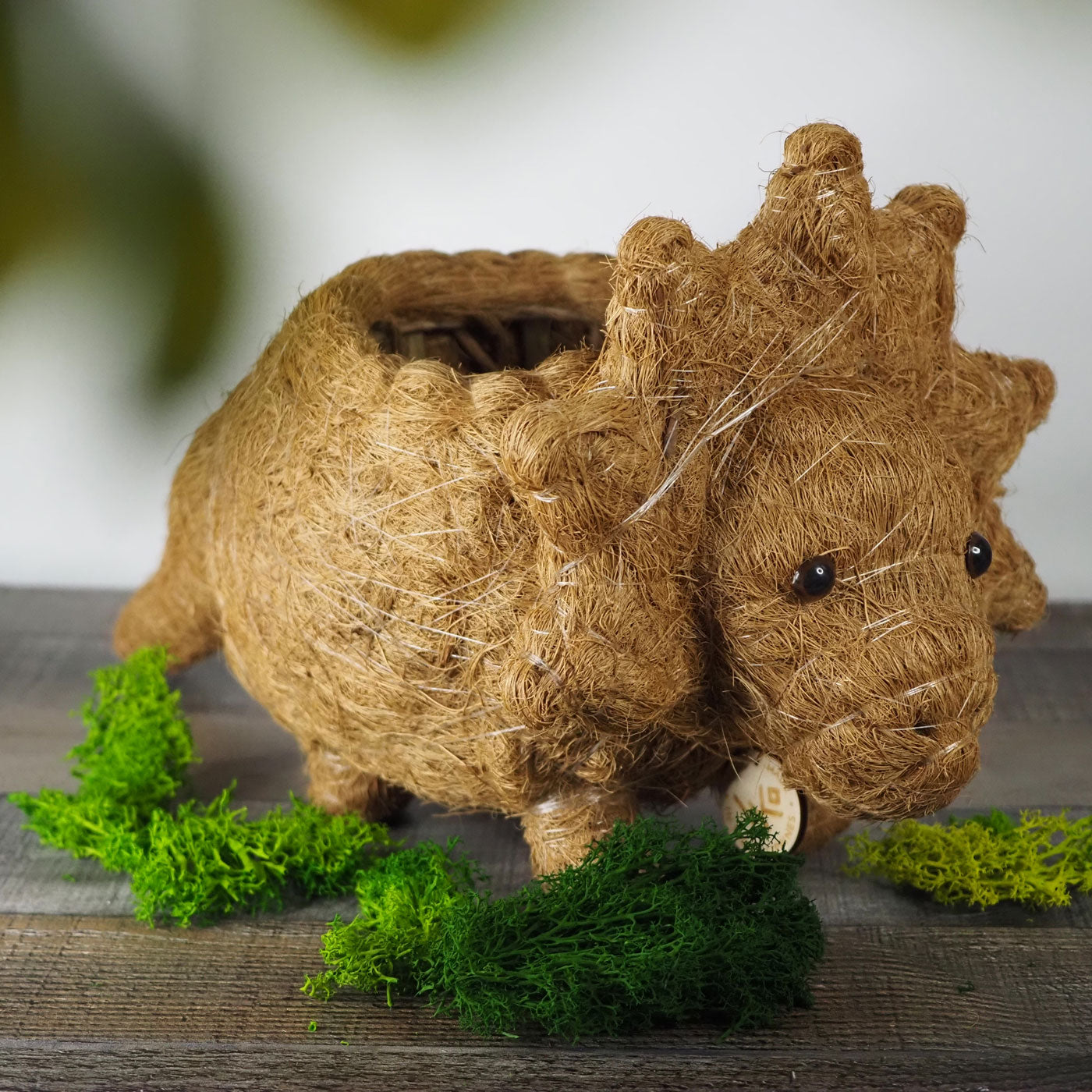 Triceratops Dinosaur Animal Planter hand-made of Coco Coir