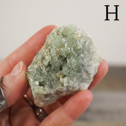 Prehnite Clusters G-J - Choose your own