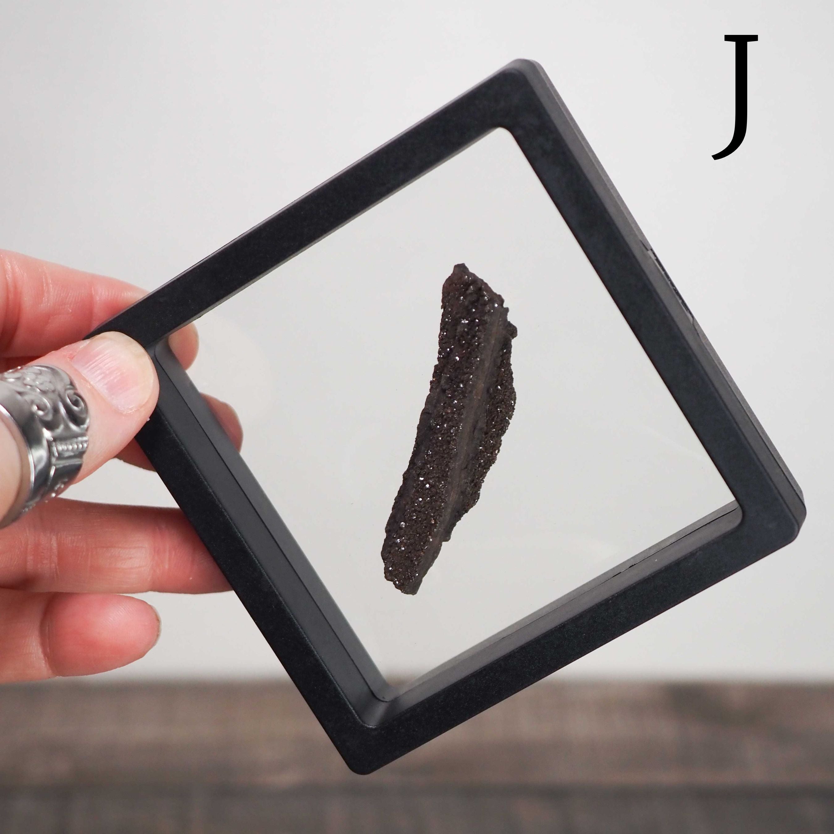 Permineralized Sparkling Fossil Wood from Germany in Floating Displays (I-M) - You choose!