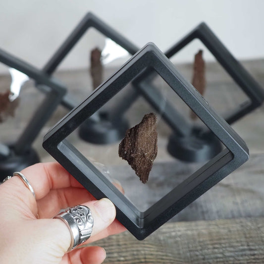 Permineralized Sparkling Fossil Wood from Germany in Floating Displays (E-H) - You choose!