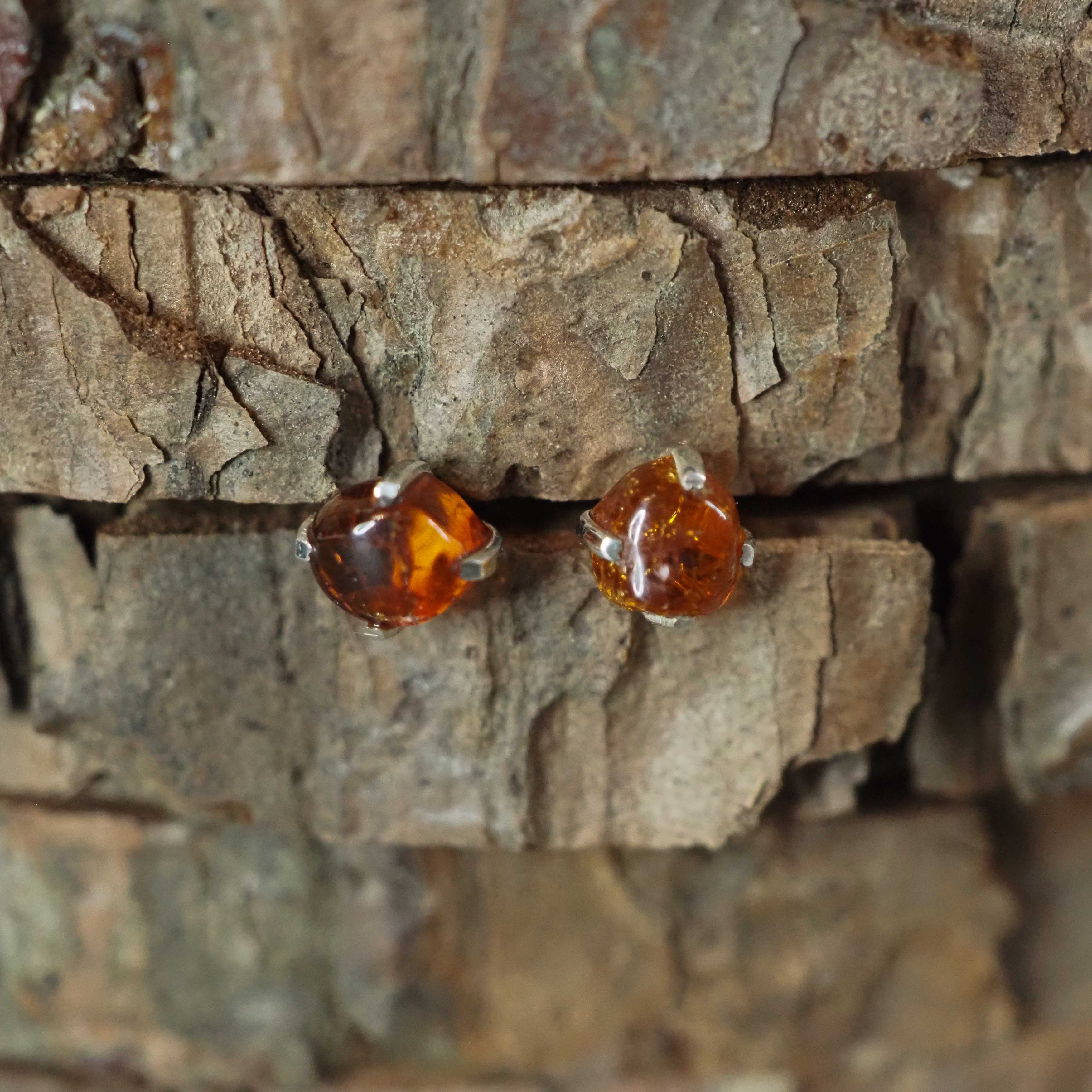 Amber Stud Earrings