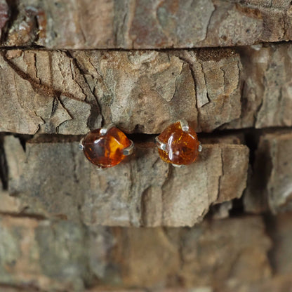Amber Stud Earrings