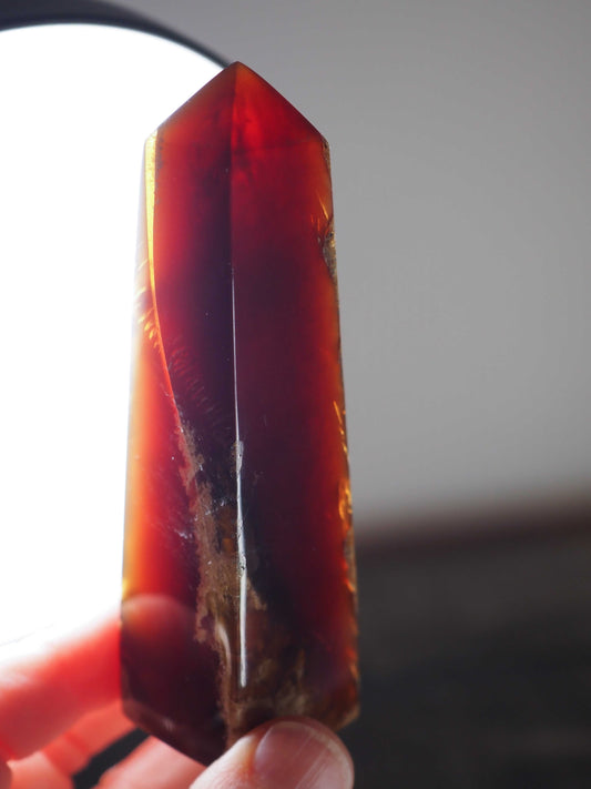 Amber Tower D