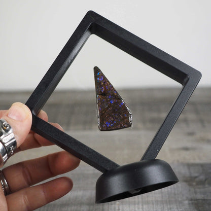 Ammolite from Alberta, Canada D