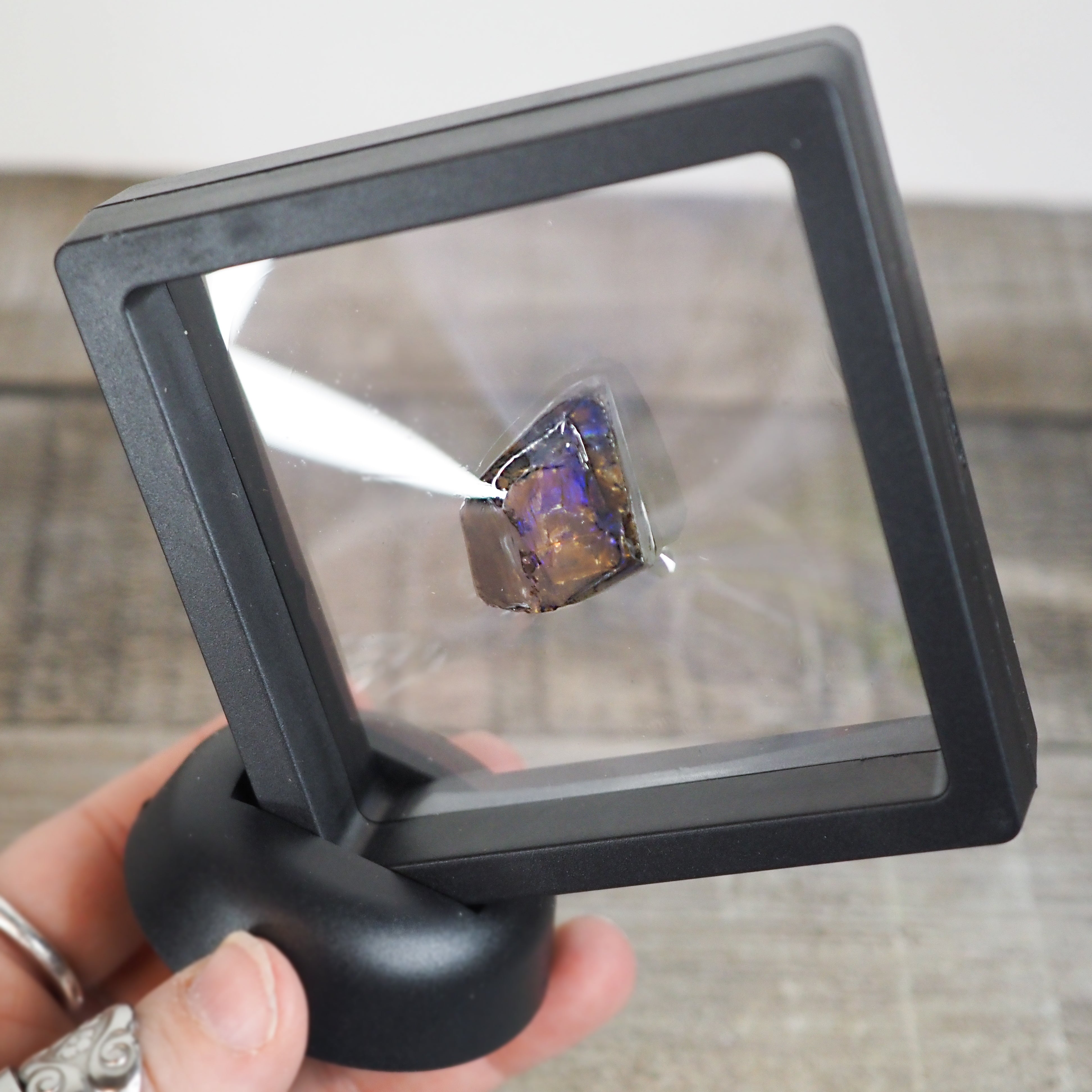 Ammolite from Alberta, Canada AA04