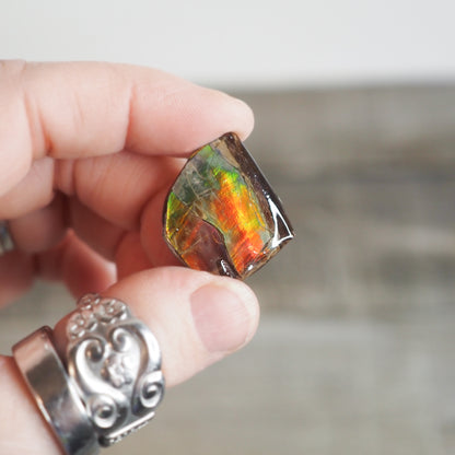 Ammolite from Alberta, Canada AA06