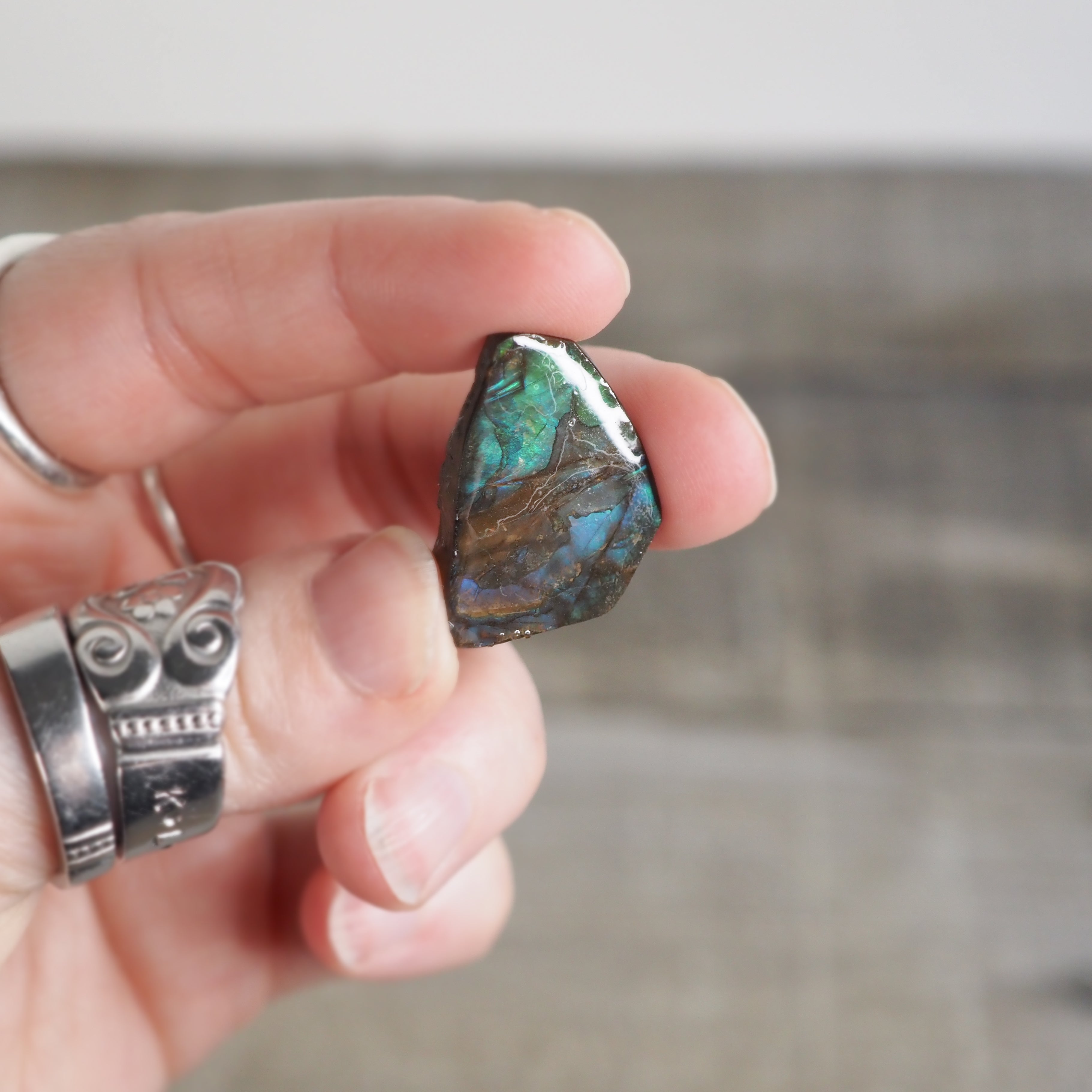 Ammolite from Alberta, Canada AA07