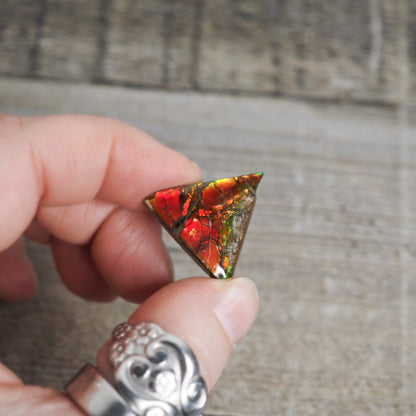 Ammolite from Alberta, Canada AA08