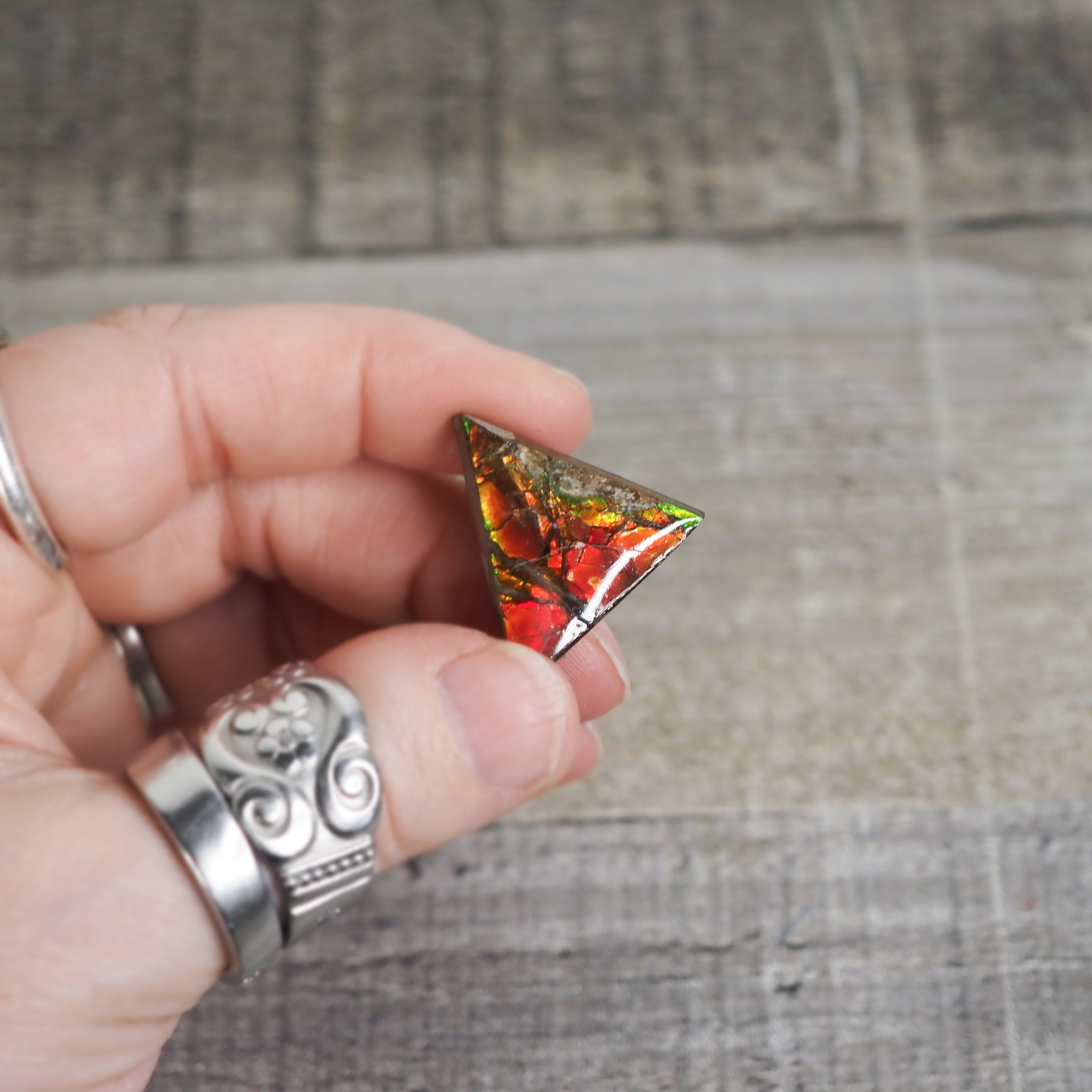 Ammolite from Alberta, Canada AA08