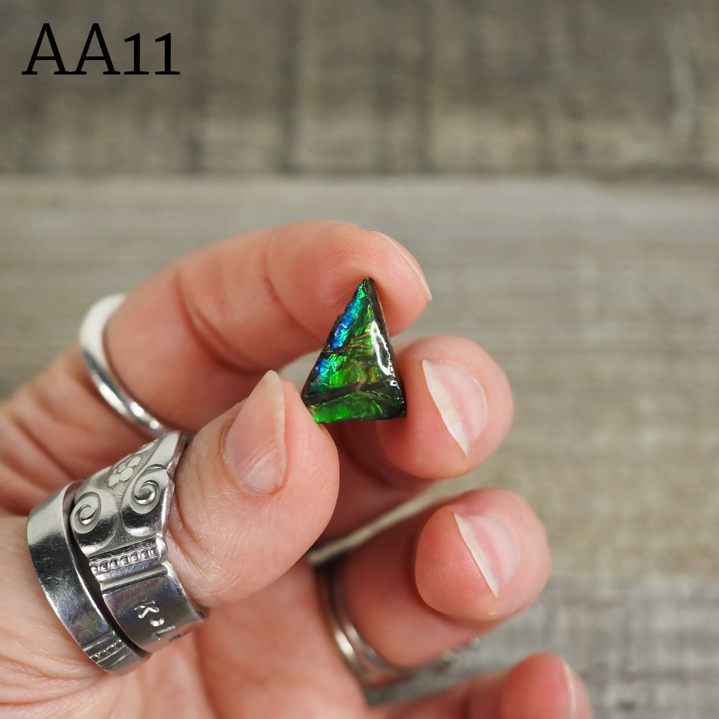 Ammolite from Alberta, Canada in Floating Frame AA10 - AA13