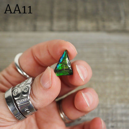 Ammolite from Alberta, Canada in Floating Frame AA10 - AA13