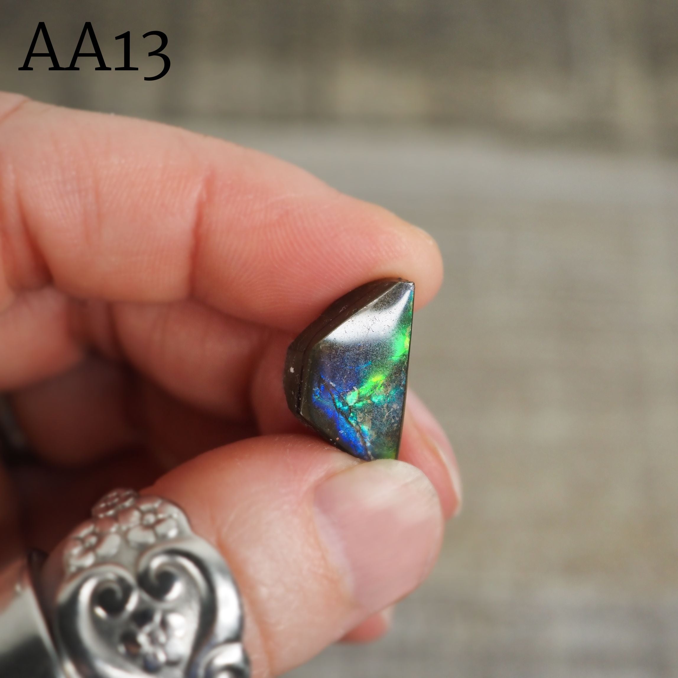 Ammolite from Alberta, Canada in Floating Frame AA10 - AA13
