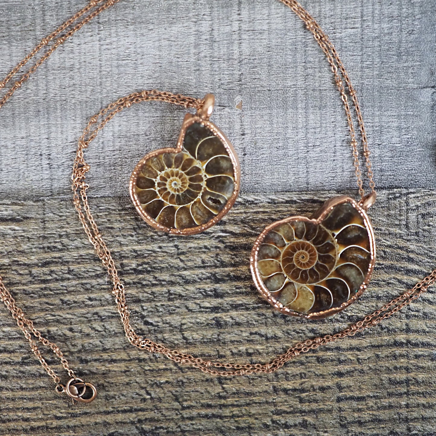 Copper Ammonite Necklace