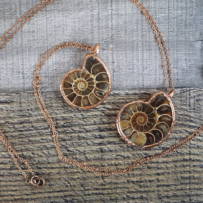 Copper Ammonite Necklace