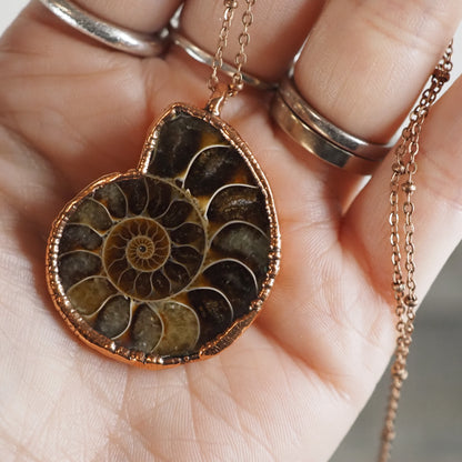 Copper Ammonite Necklace