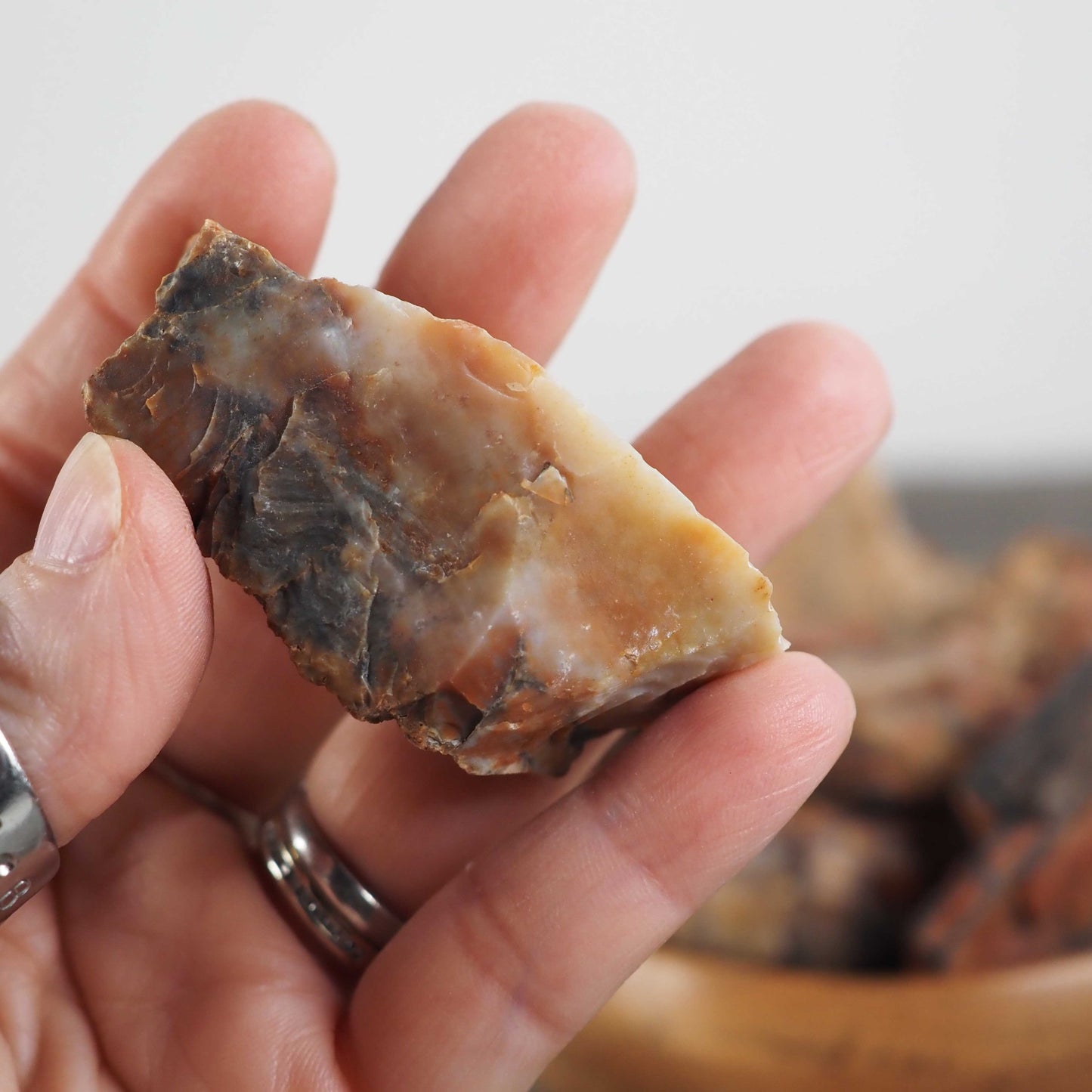 Arizona Rainbow Petrified Wood - Large Pieces