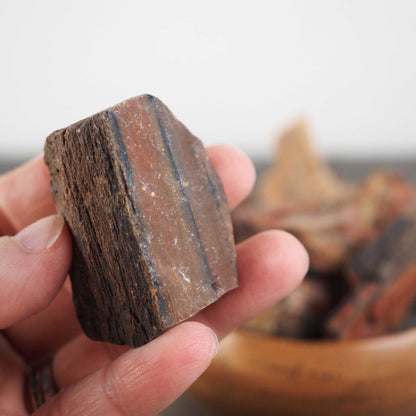 Arizona Rainbow Petrified Wood - Large Pieces