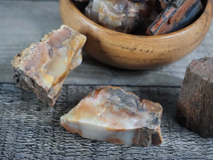 Arizona Rainbow Petrified Wood - Large Pieces