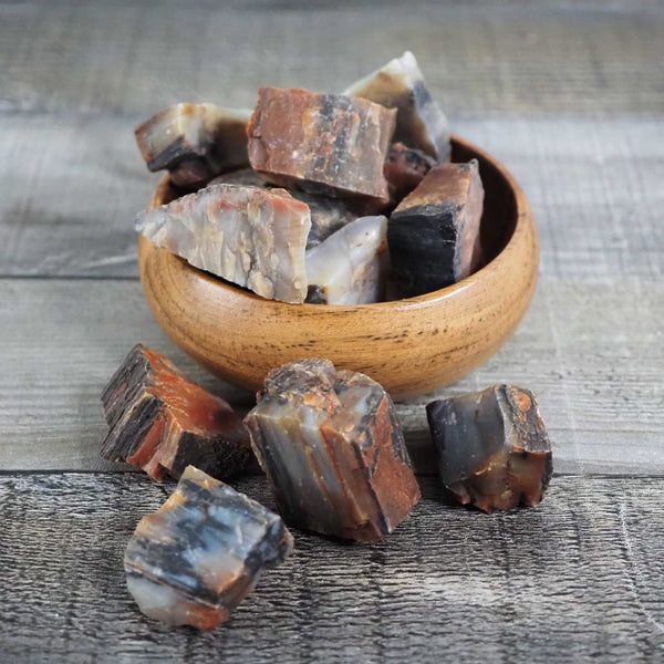 Arizona Rainbow Petrified Wood - Medium Pieces