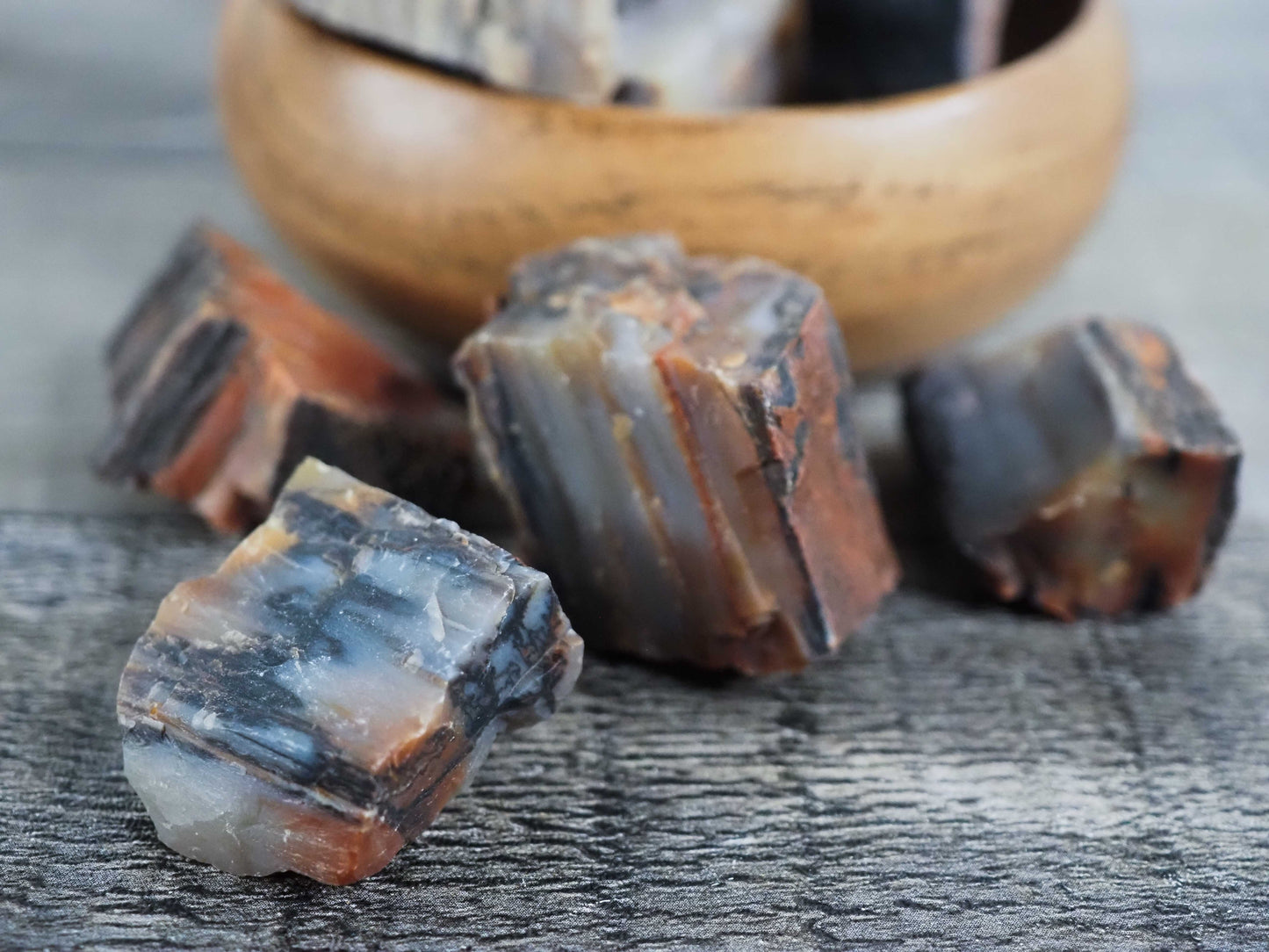 Arizona Rainbow Petrified Wood - Medium Pieces