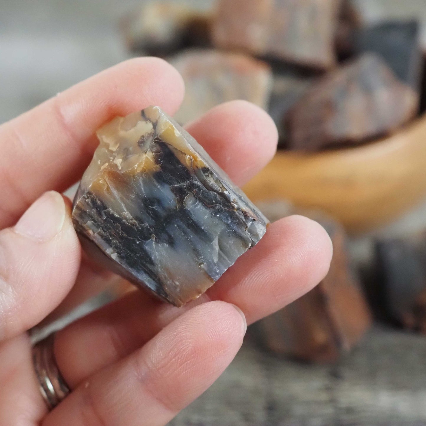 Arizona Rainbow Petrified Wood - Medium Pieces