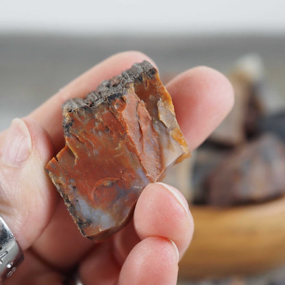 Arizona Rainbow Petrified Wood - Medium Pieces