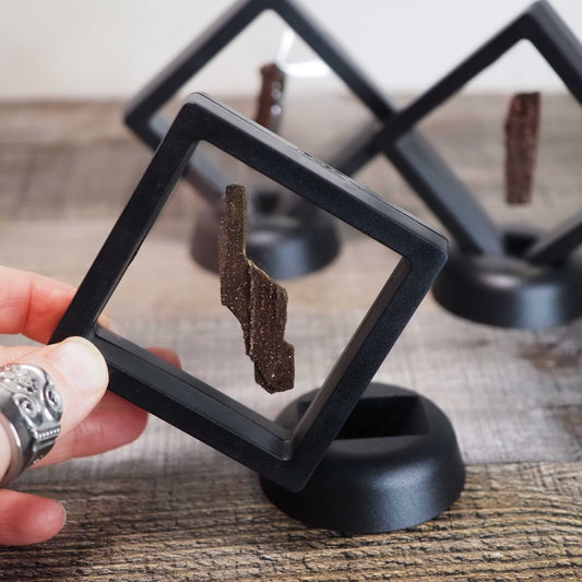 Permineralized Sparkling Fossil Wood from Germany in Small Floating Displays - You choose!