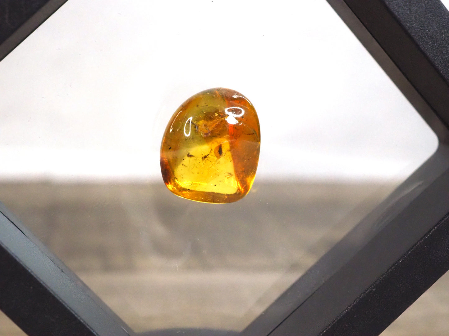 Baltic Amber B with Insect Inclusion